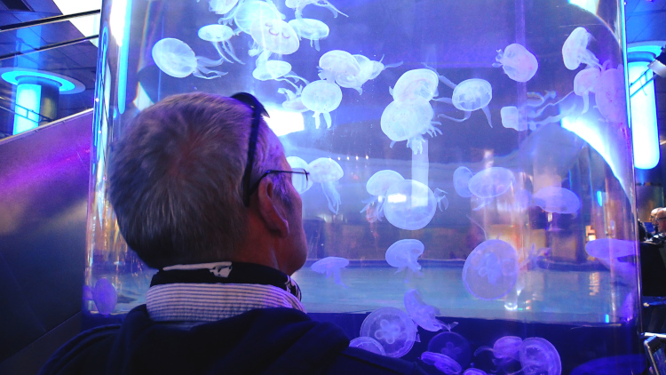 Man looking at tank full of illuminated jellyfish